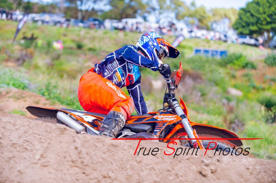 Click Image to goto Weblink