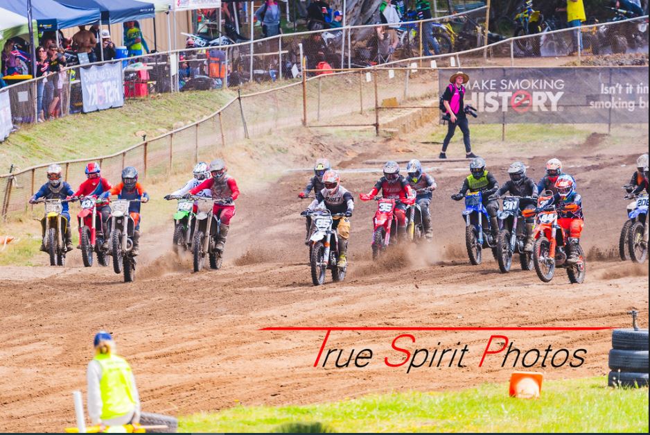 Click Image to goto Weblink