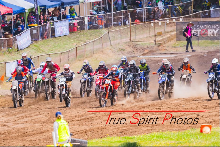 Click Image to goto Weblink