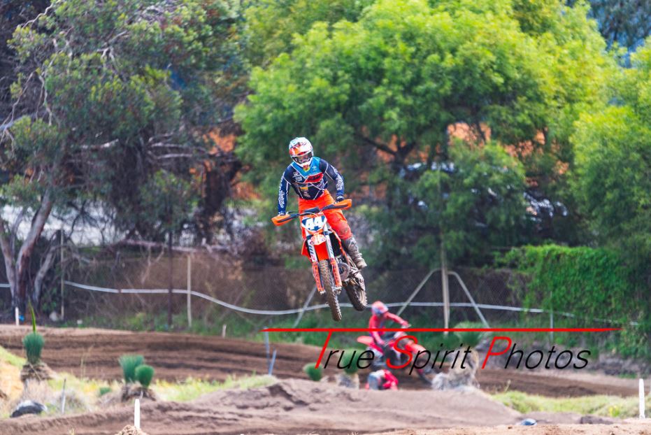 Click Image to goto Weblink